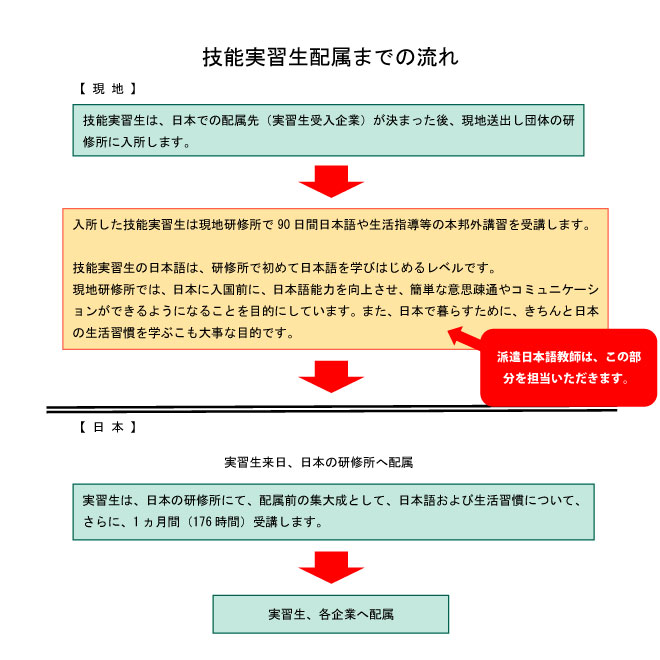 技能実習生配属までの流れ