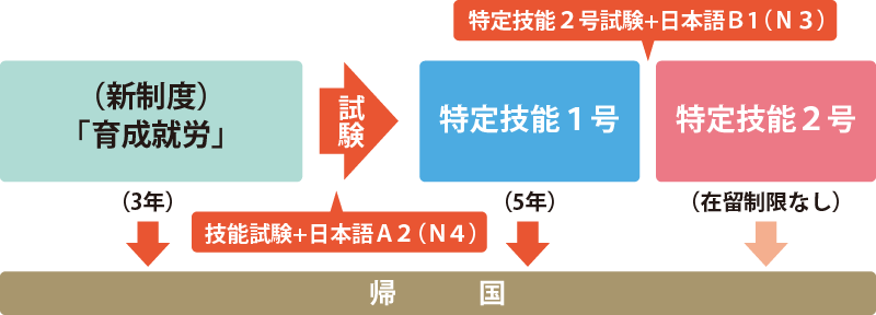 「新制度」と「特定技能」のイメージ図