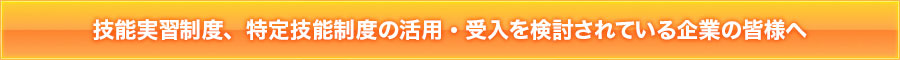 技能実習制度、特定技能制度の活用・受入を検討されている企業の皆様へ